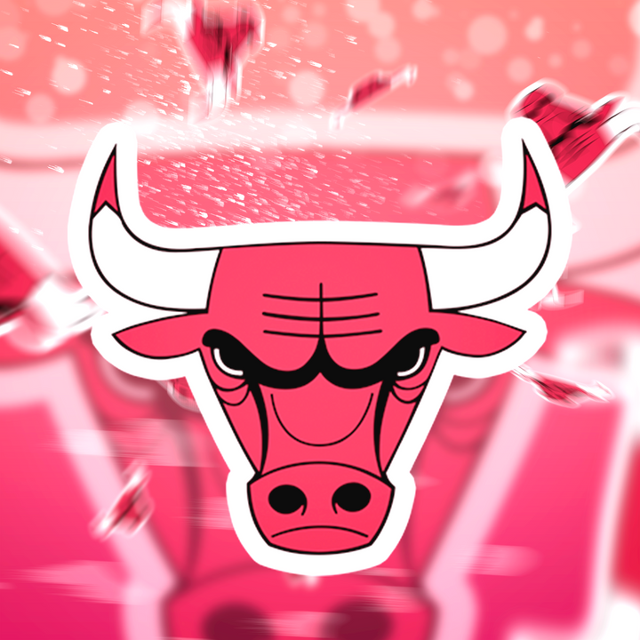 Chicago Bulls Logo Stickers - Waterproof, Holographic, or Glossy Vinyl - Slam Dunk Your Style! Chicago Bulls Logo Stickers - Rozovy